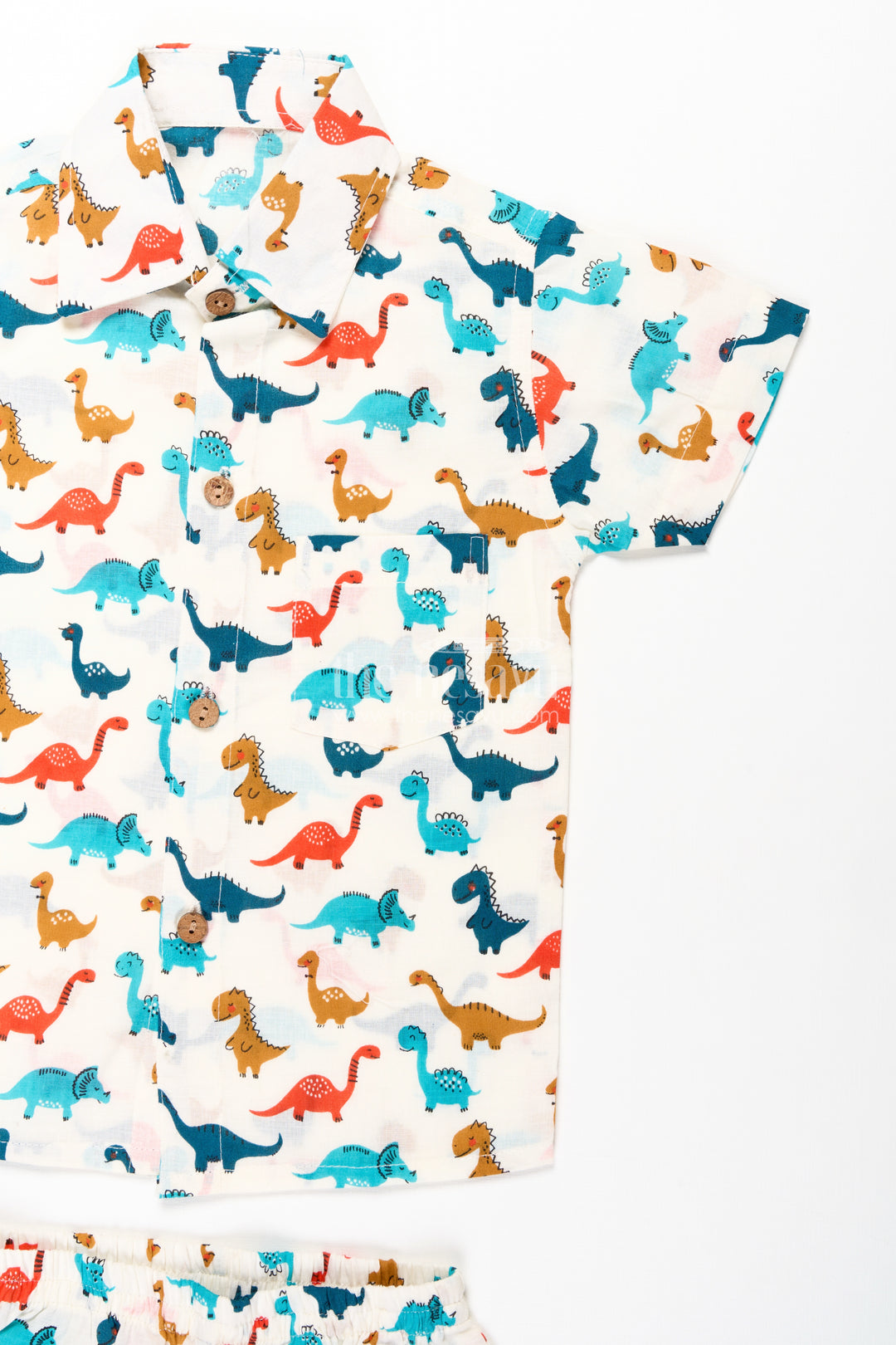 Boys Cool Casual Outfits for Guys in Cotton with Multicolor Dinosaur Print and Matching Shorts