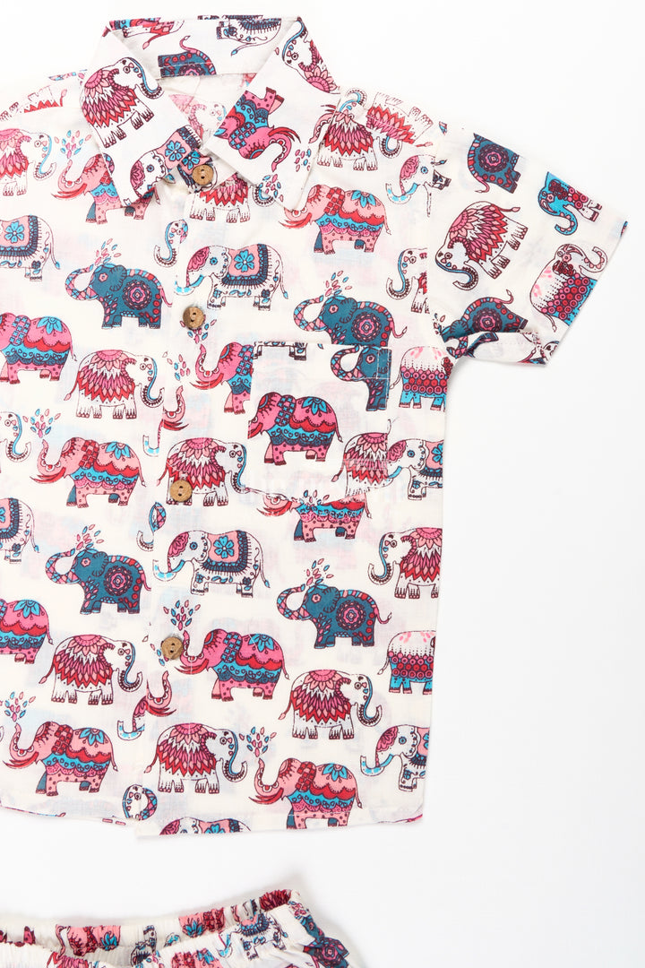 Boys Cute Casual Clothes with Pink and Blue Elephant Motifs for Playful Comfort and Style