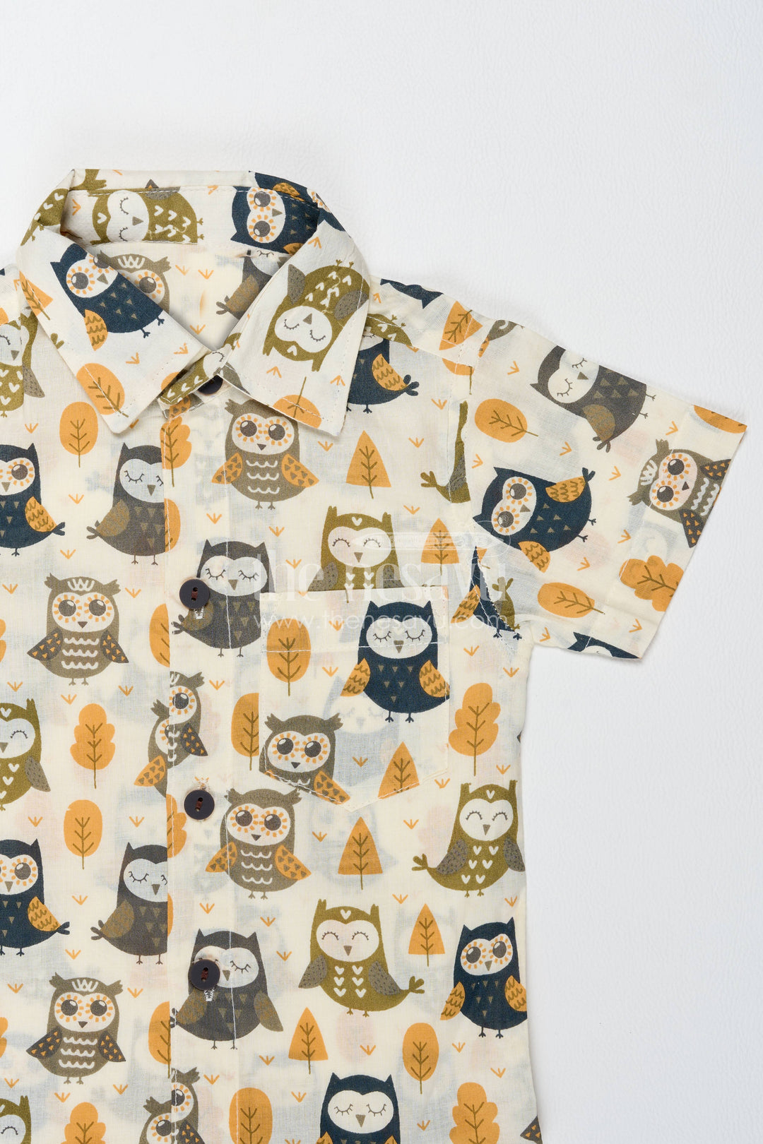 Boys Cotton Shirt and Shorts Set with Earthy Owl Print