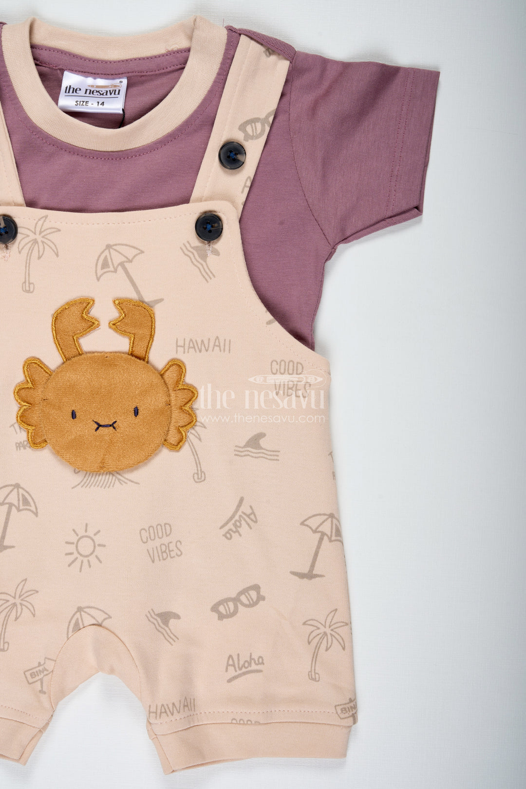 Casual Colorful Dress for Boys in Soft Cotton with Lion Embroidery and Contrast Tee Dungaree Set