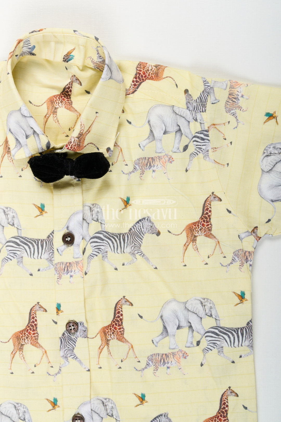 Boys casual shirt and shorts set for birthday and everyday fun