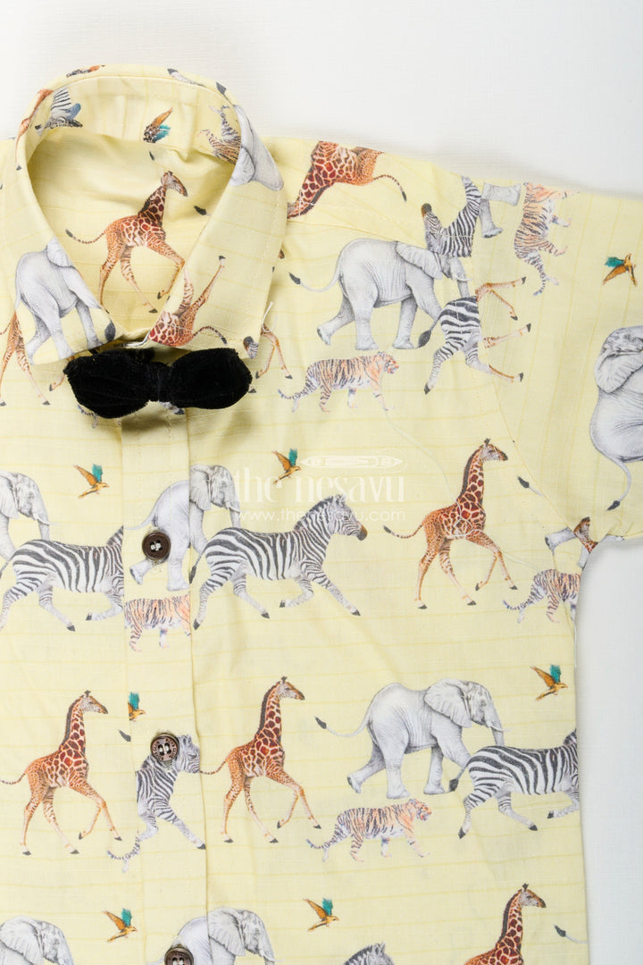 Boys casual shirt and shorts set for birthday and everyday fun