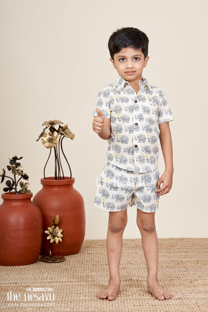 Boys elephant print cotton set for everyday casual dressing