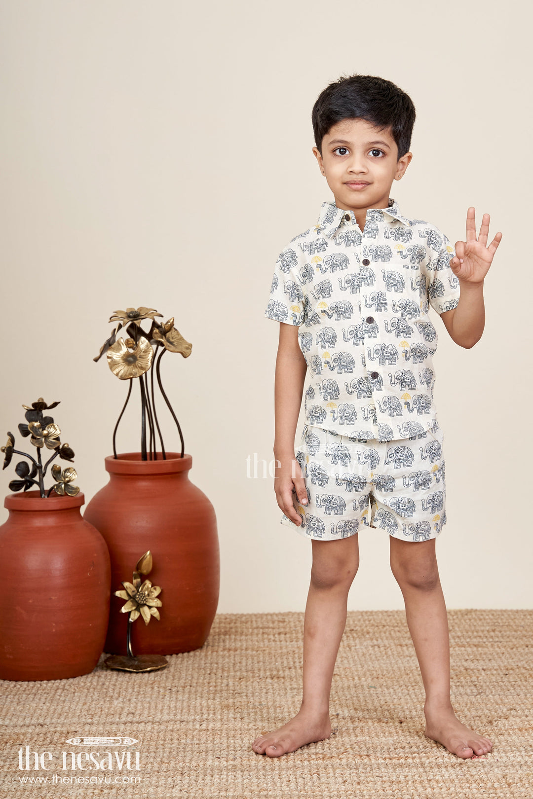 Boys elephant print cotton set for everyday casual dressing