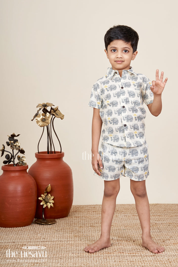 Boys elephant print cotton set for everyday casual dressing