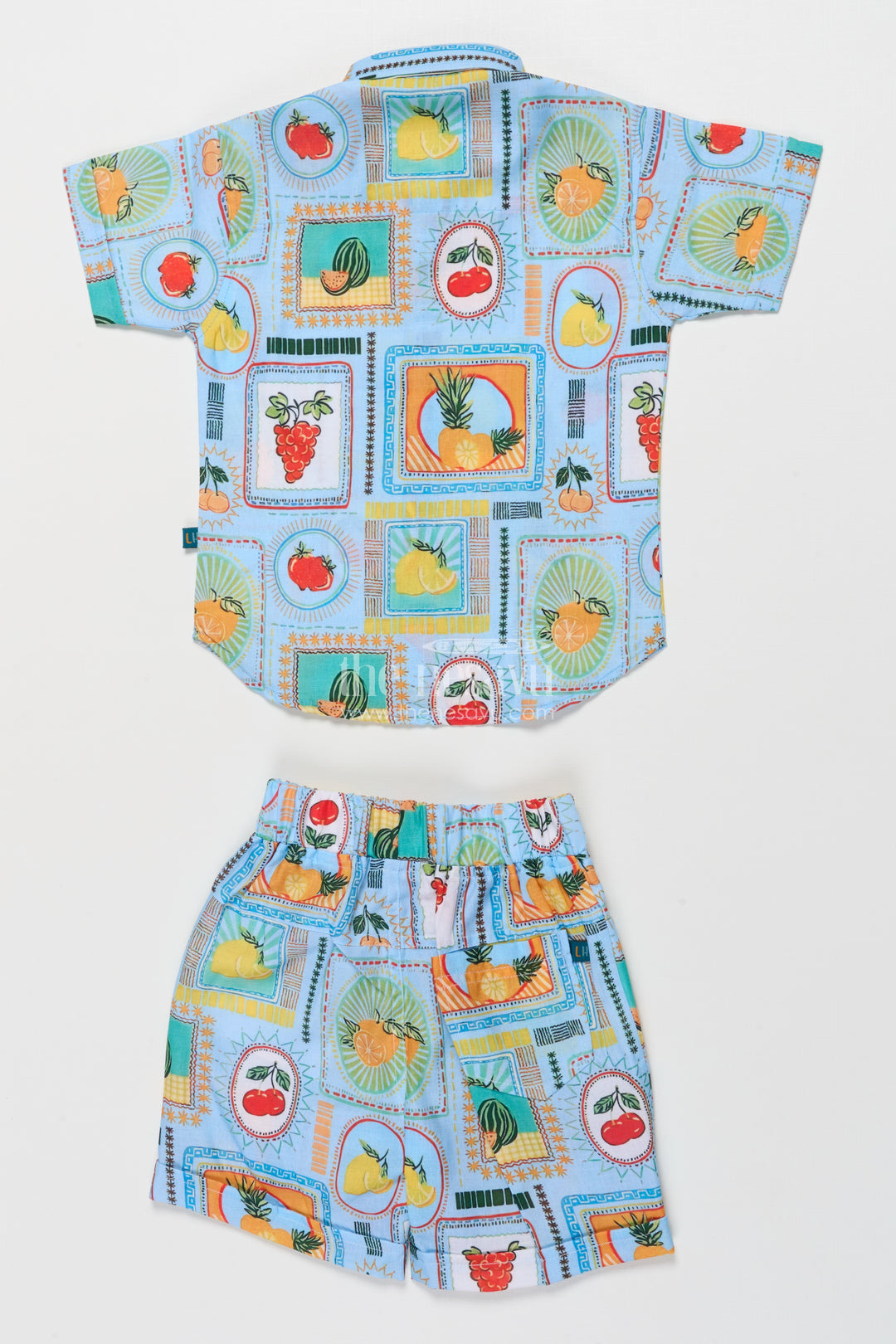 Boys Cotton Printed Outfit for Birthday Play and Summer Photoshoots