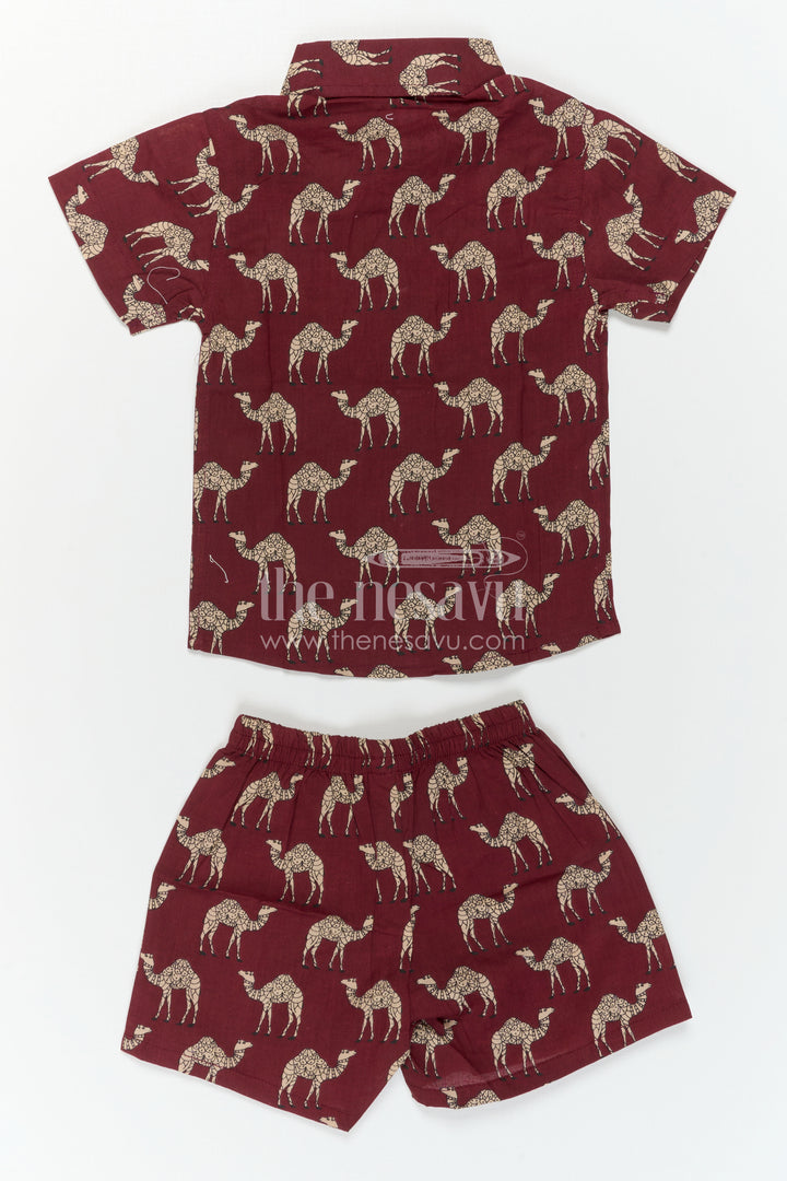 Boys Printed Co Ord Set for Casual Outings and Everyday Wear