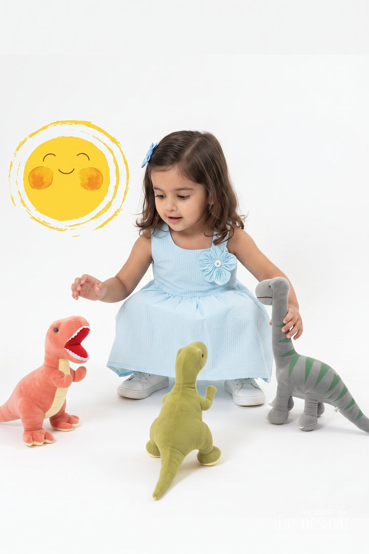 Baby Girl Frock for Kids with Floral Detailing in Blue