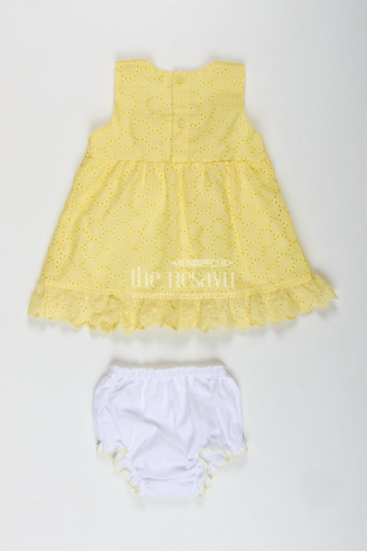 Cotton Dress For Girls With Bloomer Dailywear Combo