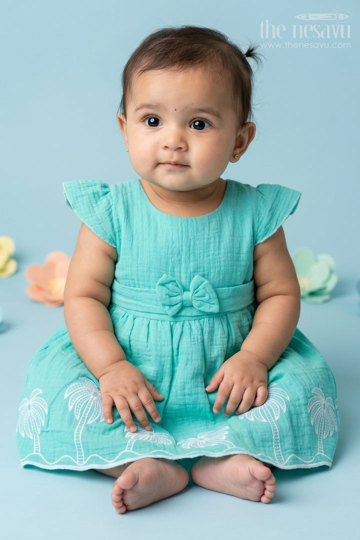 Baby Girl Frock for Outings and First Birthday Moments