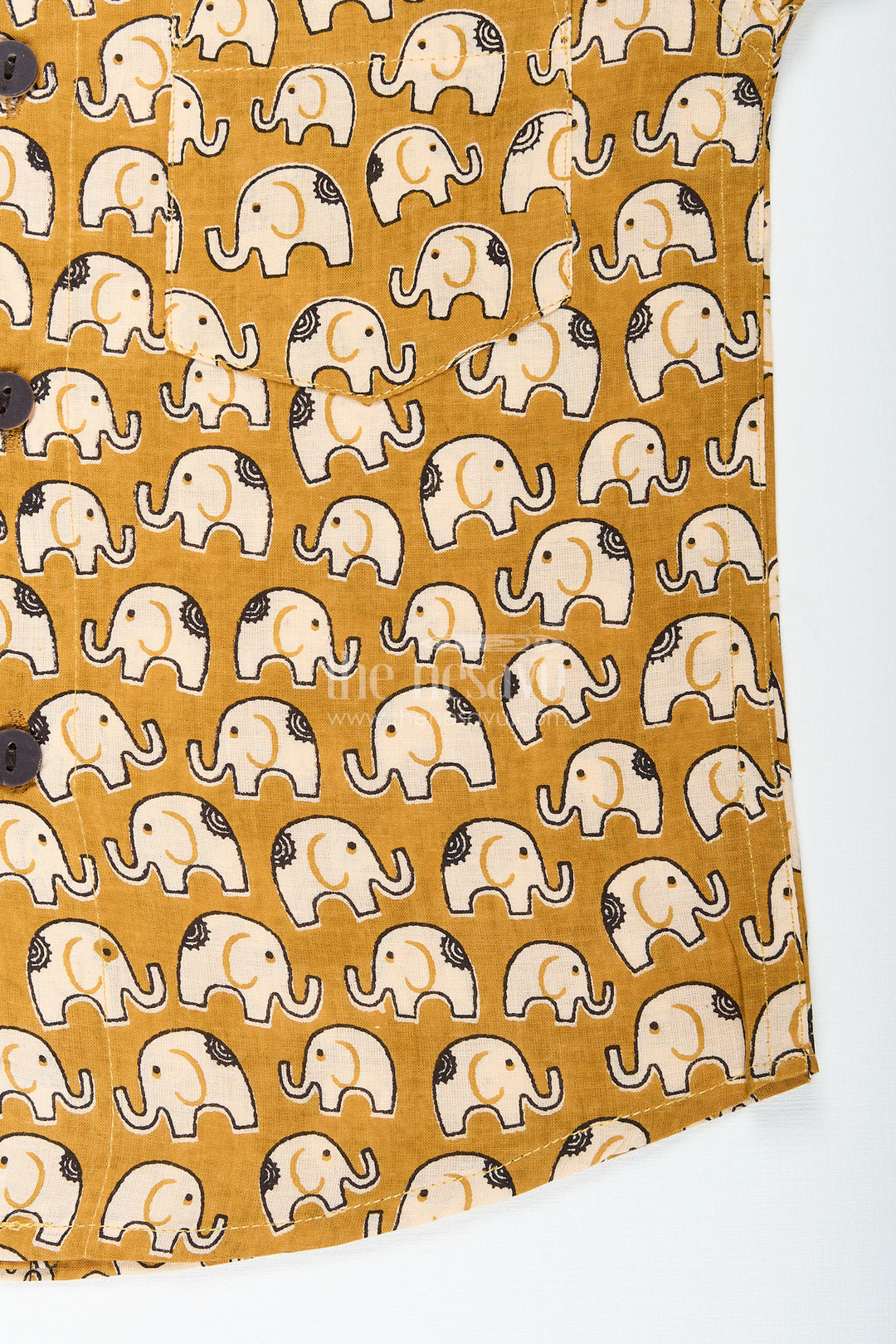Boys green cotton shirt with elephant print for ethnic school days