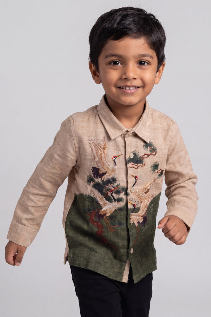 Boys Shirt for Kids in Multicolor for Wedding Moments