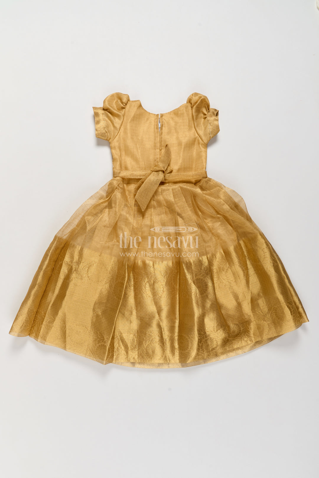 Party Wear Silk Gown with Thread Embroidery for Festive Occasions