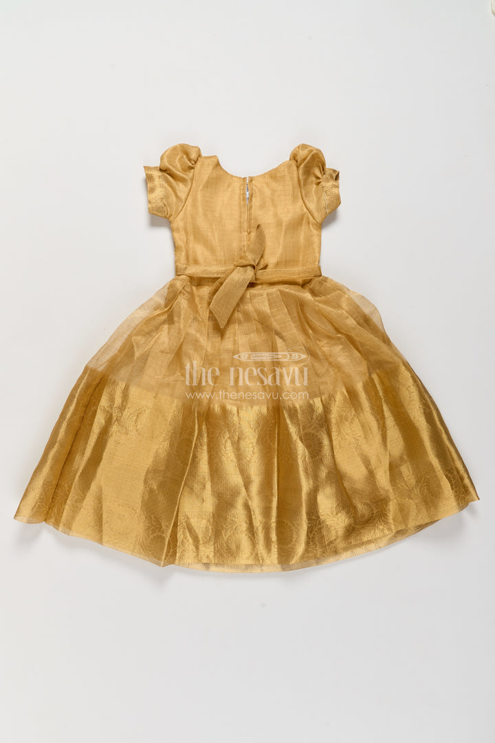Party Wear Silk Gown with Thread Embroidery for Festive Occasions