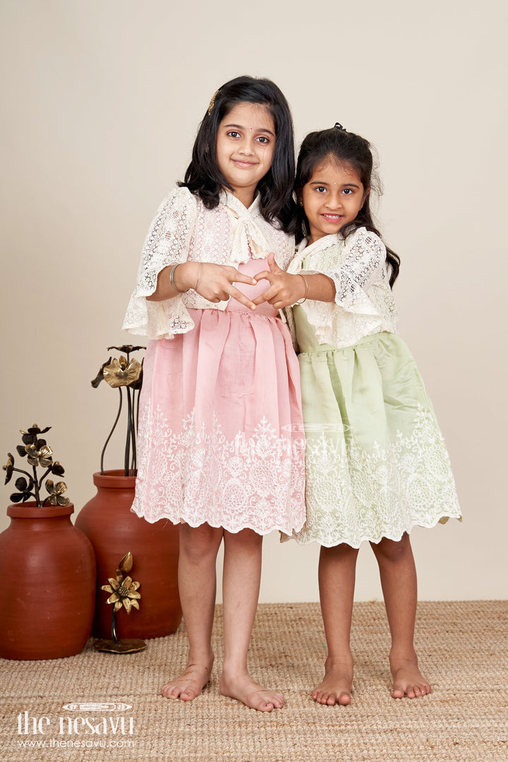 Embroidered frock and net jacket set for toddler girls for family events