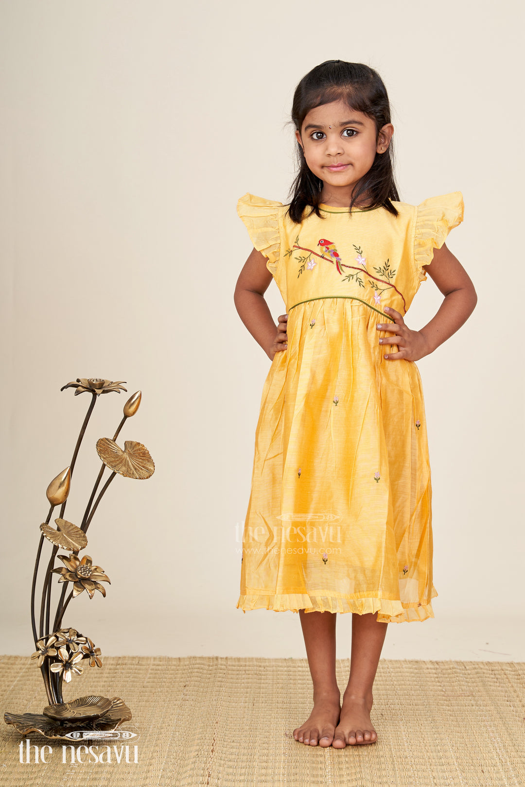 Baby girl chanderi frock with bird embroidery for festive occasions
