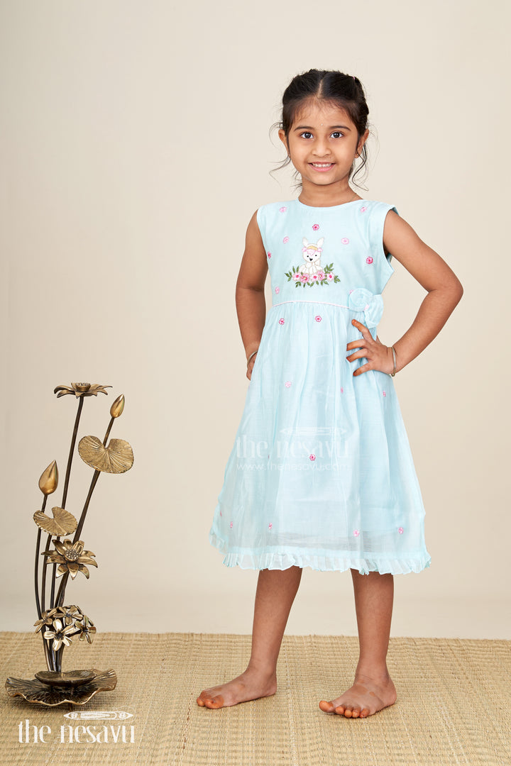 Baby girl sleeveless frock for birthday and photo day dressing
