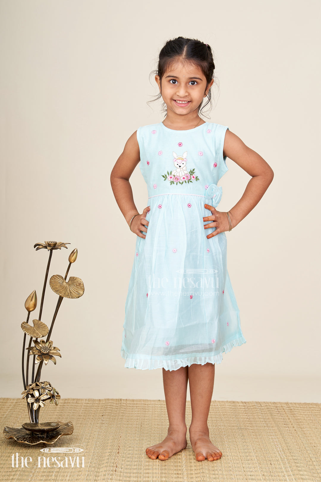 Baby girl sleeveless frock for birthday and photo day dressing