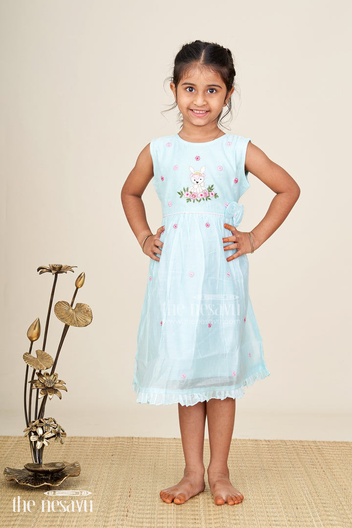 Baby girl sleeveless frock for birthday and photo day dressing