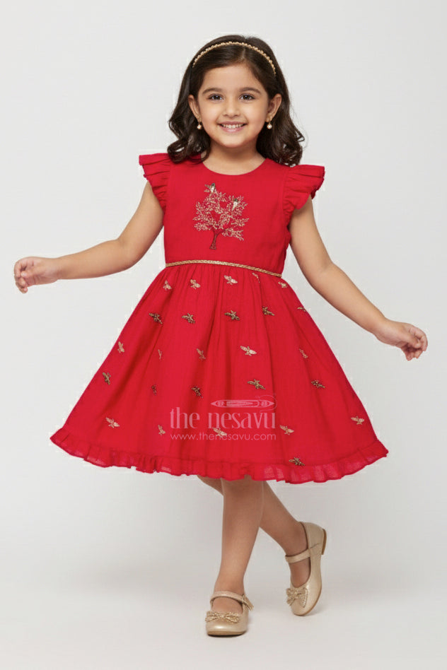 Baby Girl Frock for Birthday Party and Ethnic Celebrations