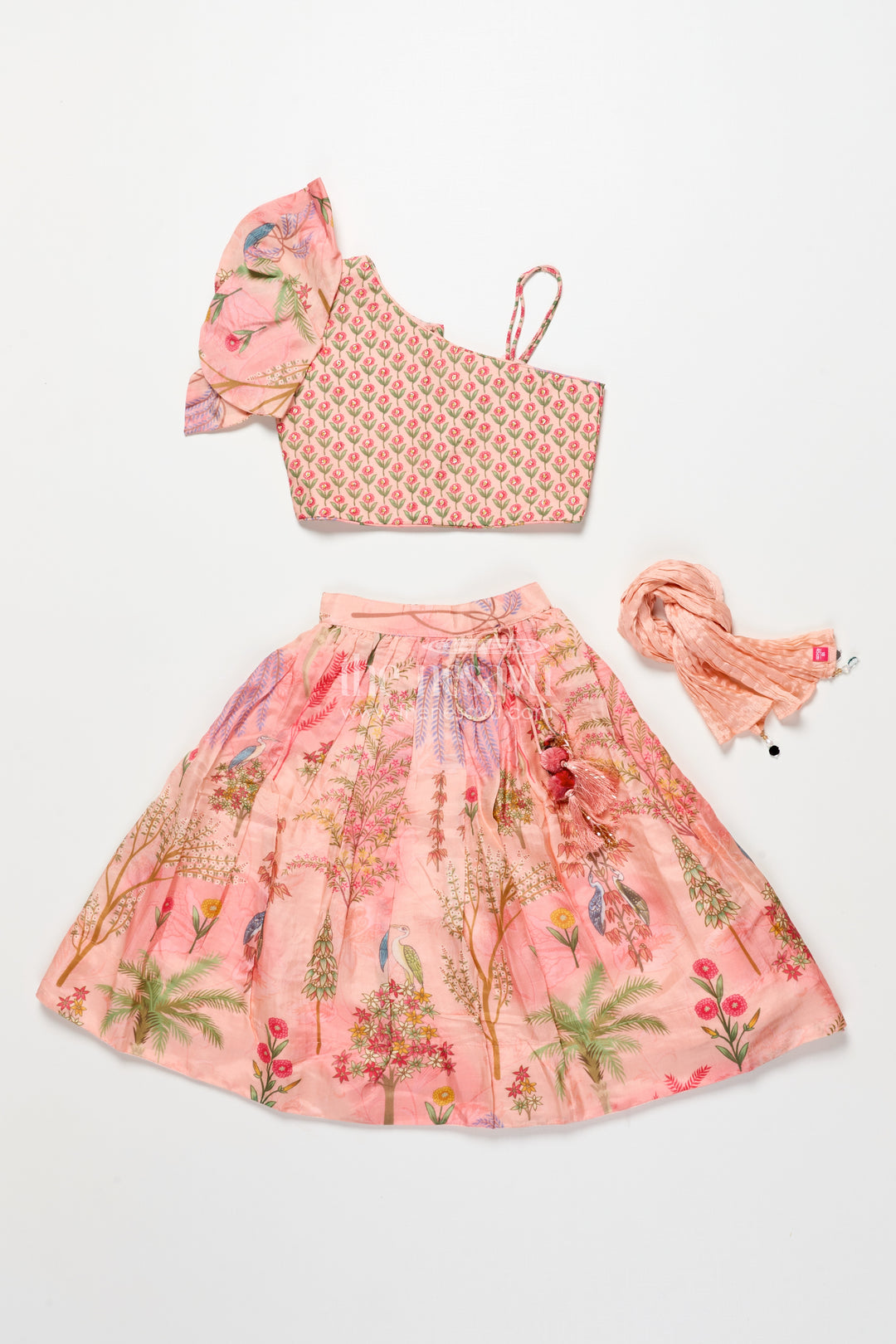 Kids Lehenga Choli for Birthday Party and Festive Wear