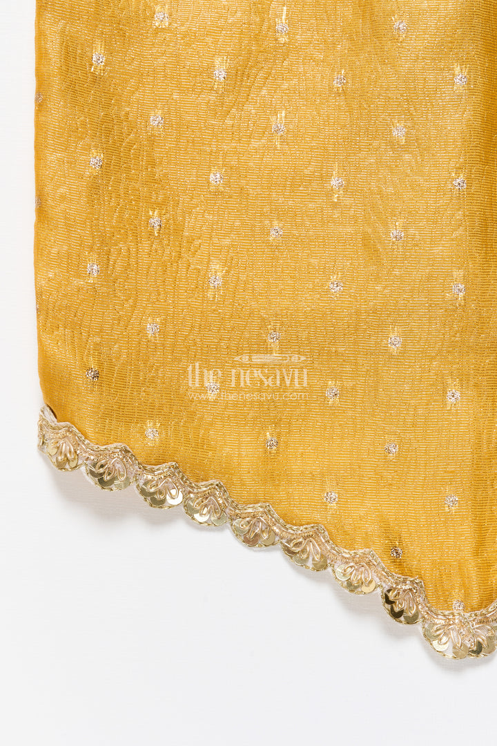 Baby Girl Pattu Pavadai for Traditional Festivals and Naming Ceremony