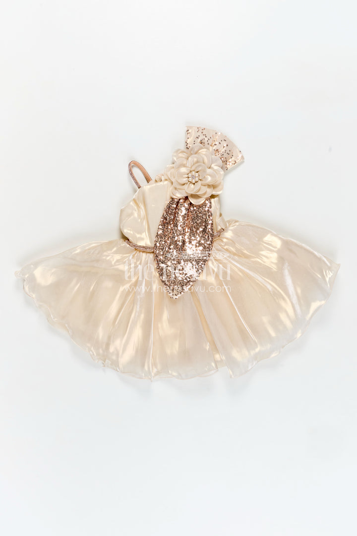 Girls Cream Organza frock new model design with Sequin Work and Floral Appliqué Accents