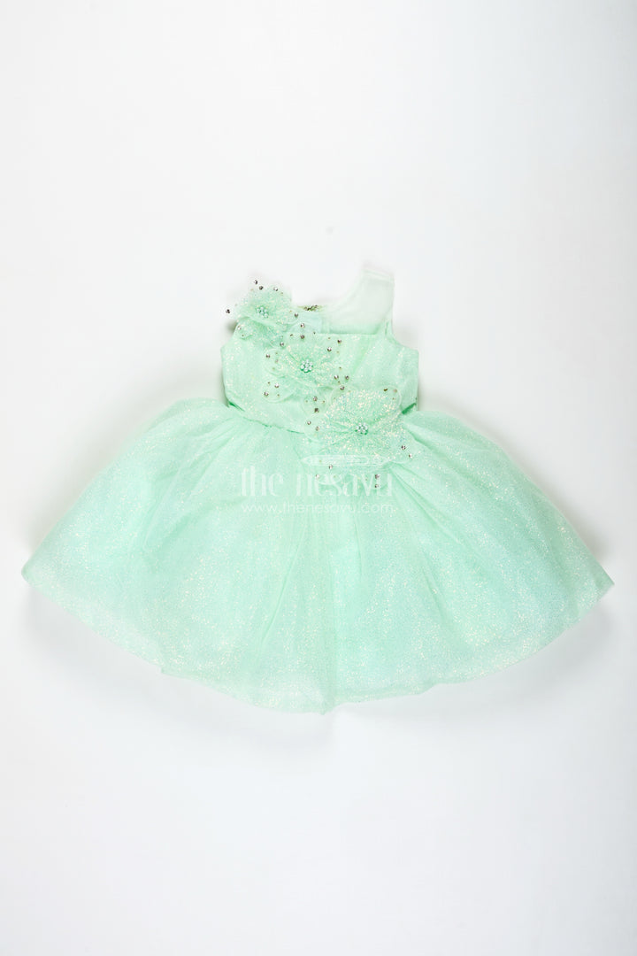 Birthday Party Frock For Girls 3d Floral Appliqué Style