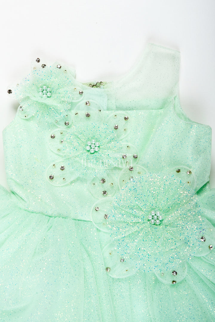 Birthday Party Frock For Girls 3d Floral Appliqué Style