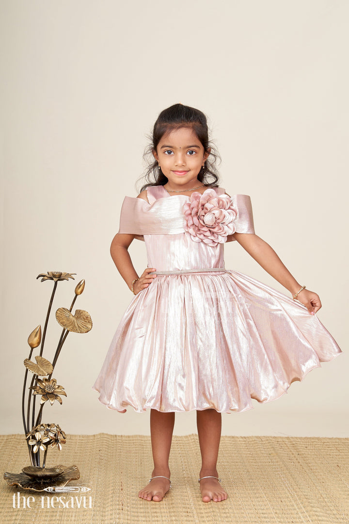 Girls party frock for birthday and stage events