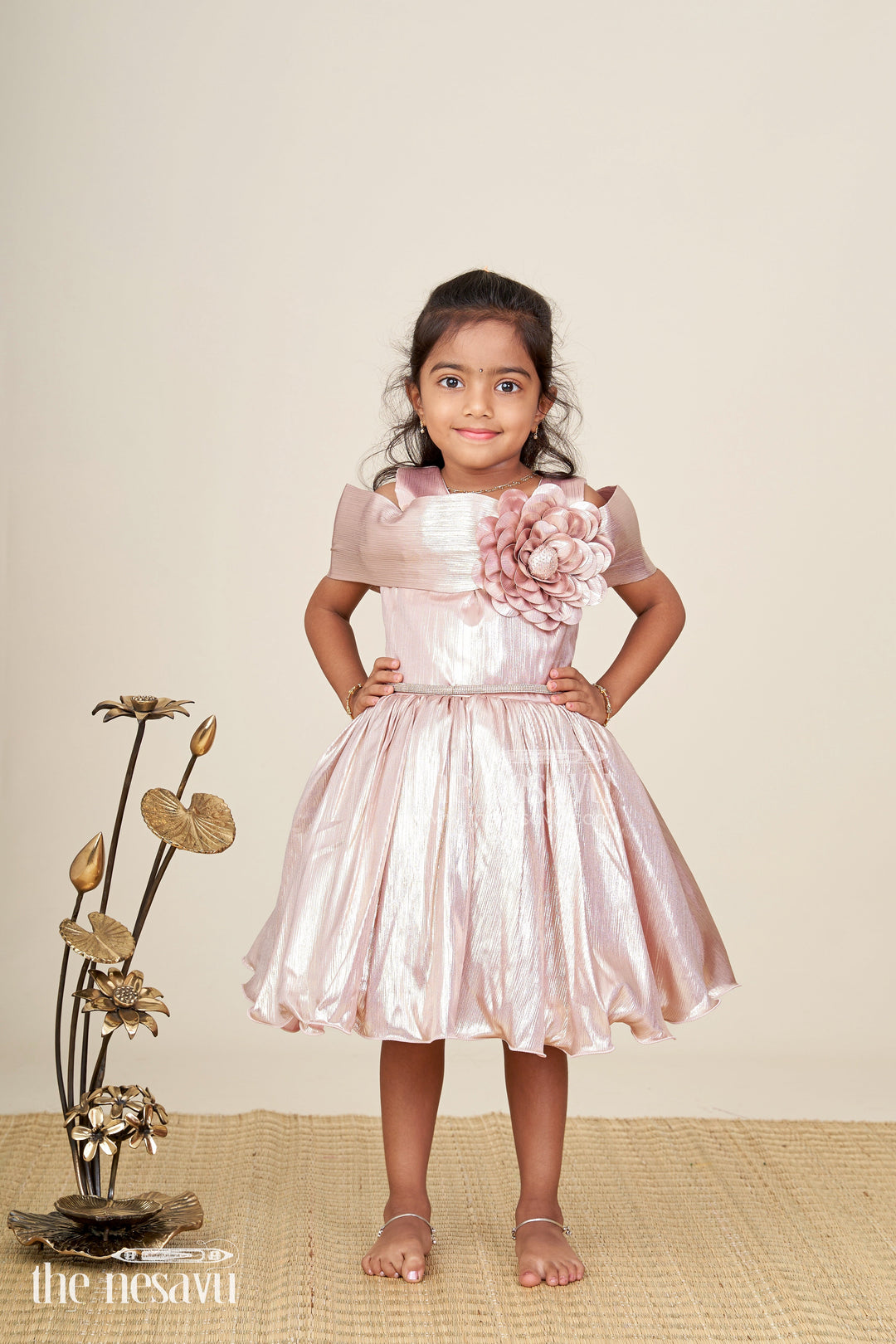 Girls party frock for birthday and stage events