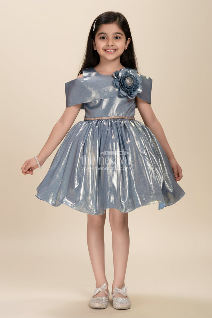 Birthday Frock for Girls with Shimmer Finish and Floral Detailing