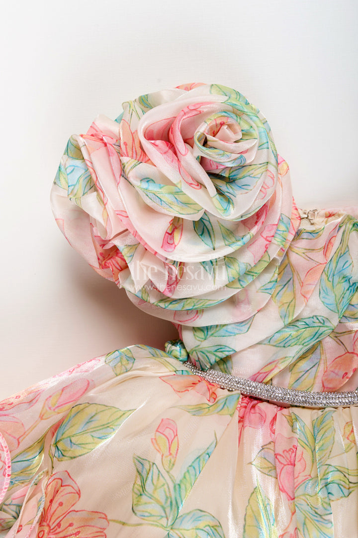Baby girl ruffle frock for birthday parties and photoshoots