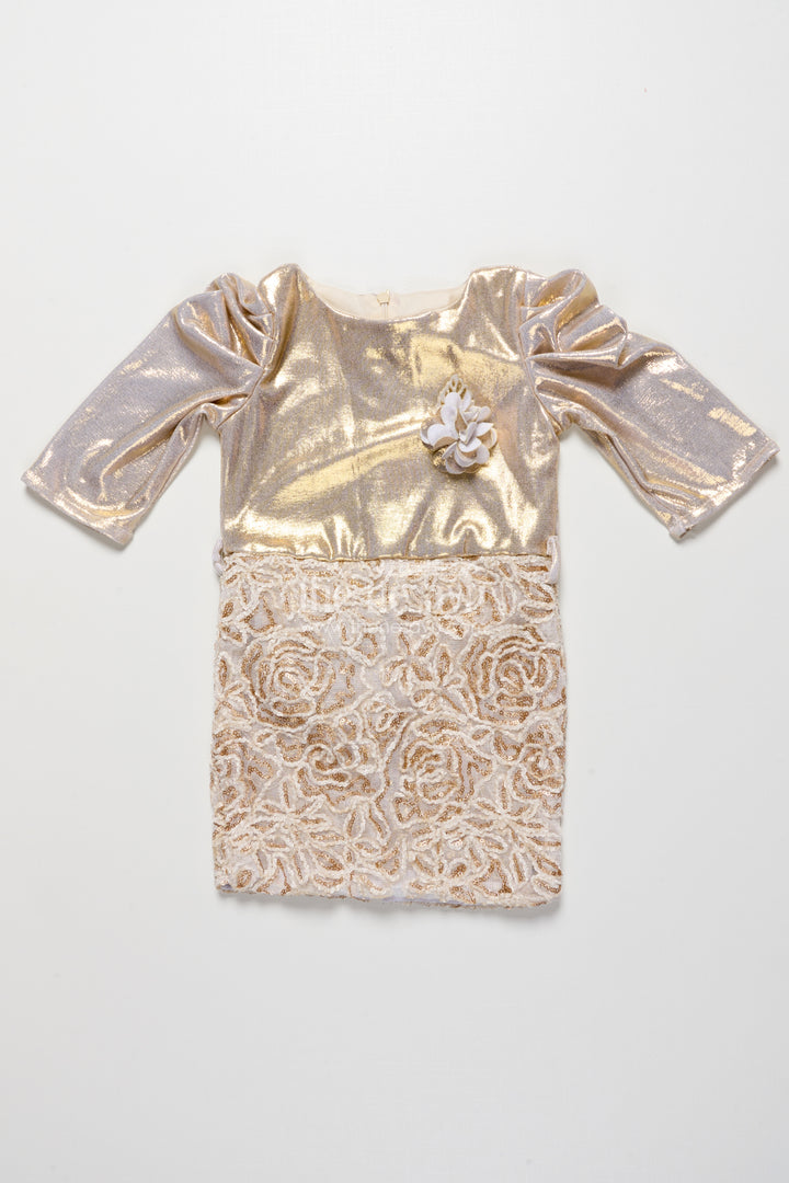 Girls Tissue Frock with Embroidery and Net Detailing for Parties