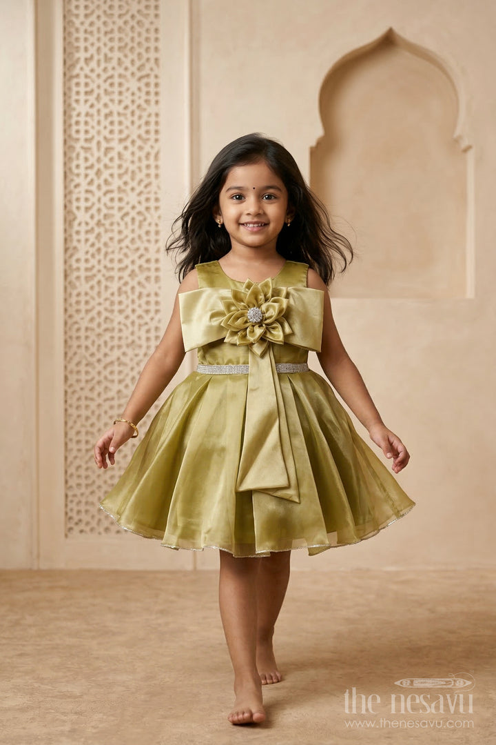 Girls Fancy Party Frock for Birthdays and Special Events
