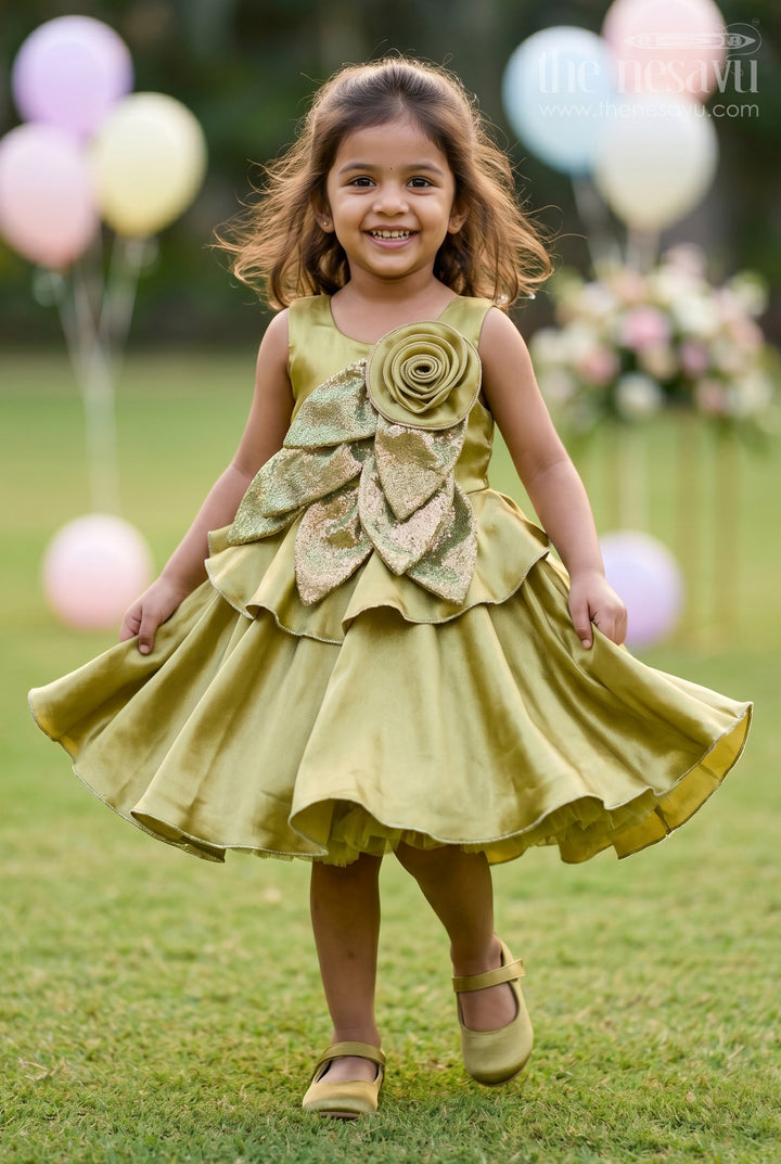 Toddler Girl Party Frock for Birthdays and Festive Occasions