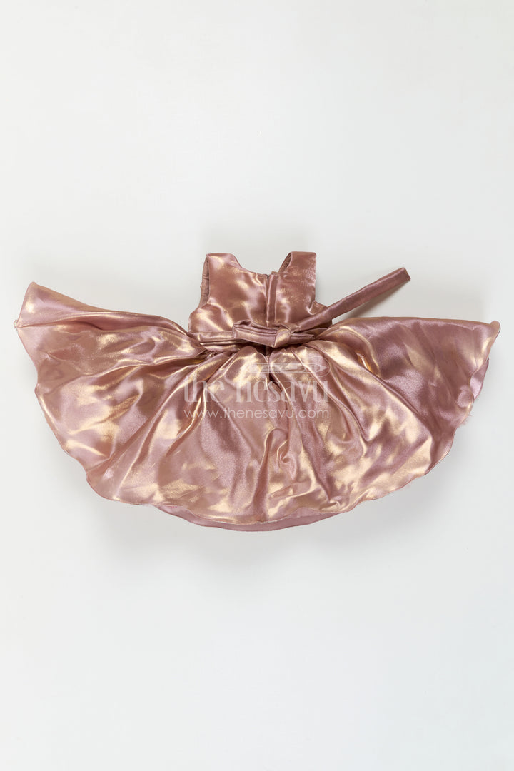 Baby Girl Satin Party Dress for Birthdays and Photo Celebrations