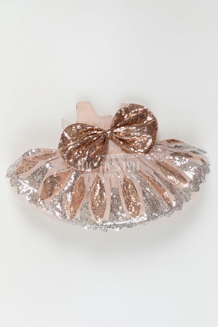 Baby Girl Net Party Frock for First Birthday and Special Occasions