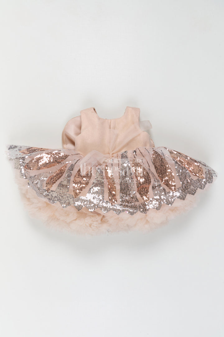 Baby Girl Net Party Frock for First Birthday and Special Occasions