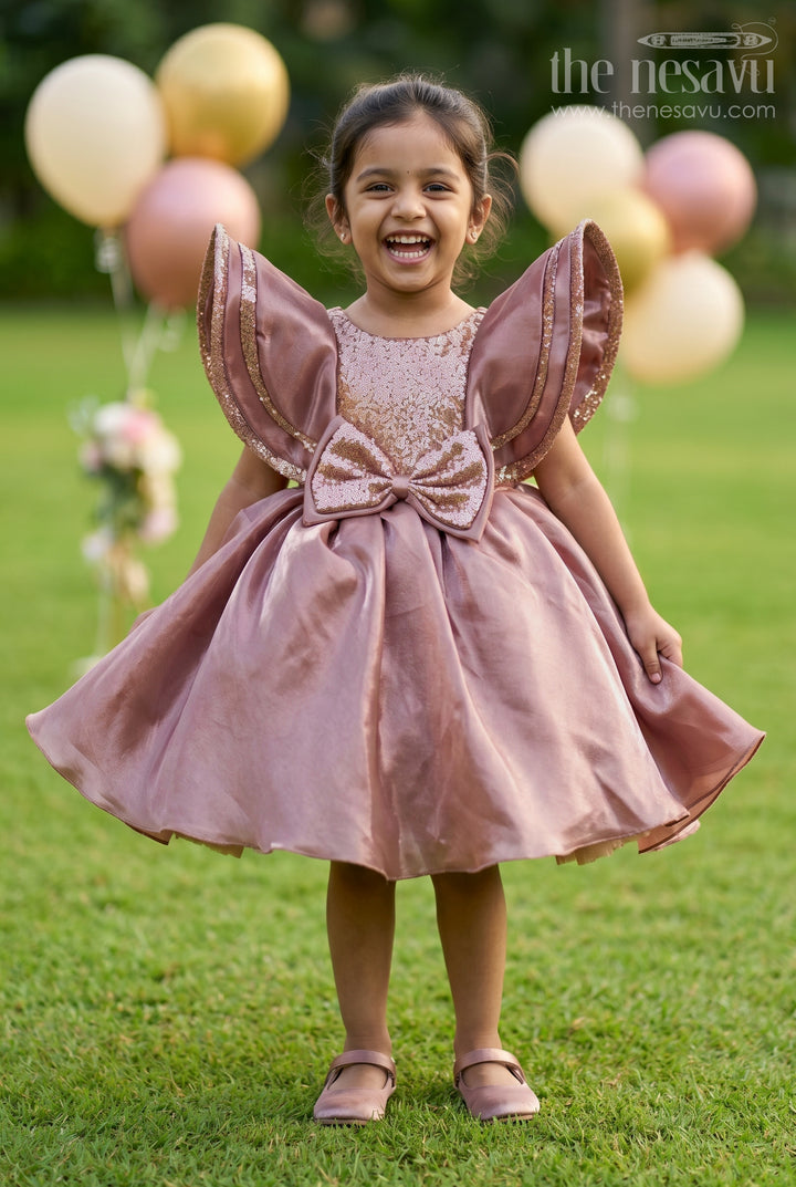 Baby Girl Party Frock for Birthday Party and Evening Celebrations