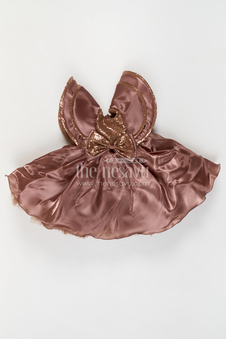 Baby Girl Party Frock for Birthday Party and Evening Celebrations