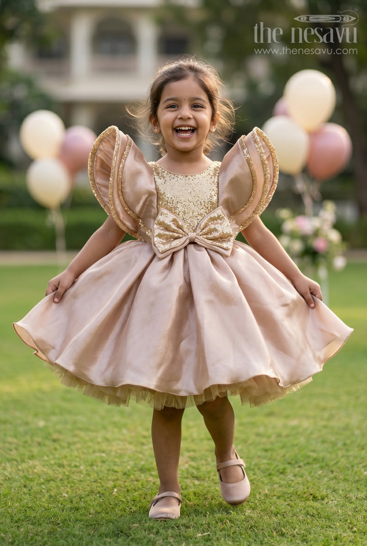 Baby Girl Party Dress for Special Occasions and Celebration Wear