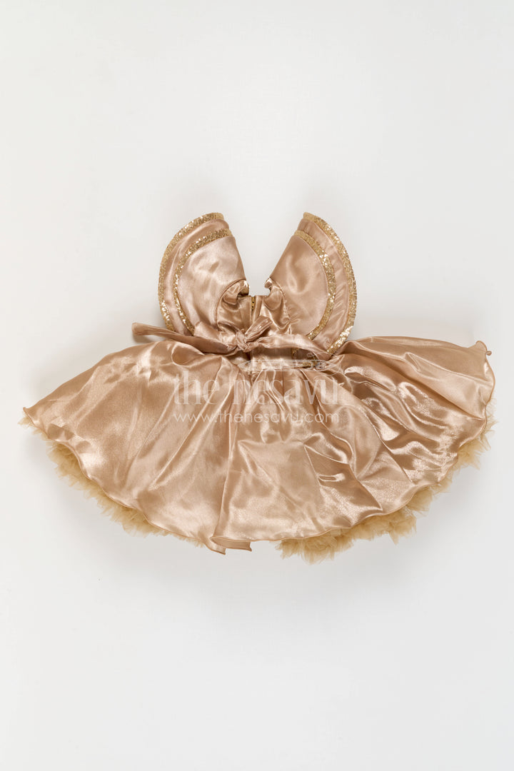 Baby Girl Party Dress for Special Occasions and Celebration Wear
