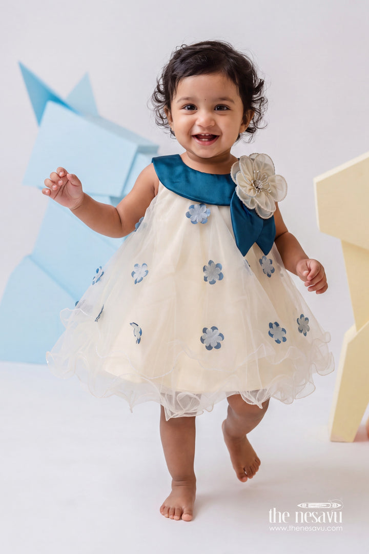Girls Embroidered Net Frock for Family Portraits and Special Occasions