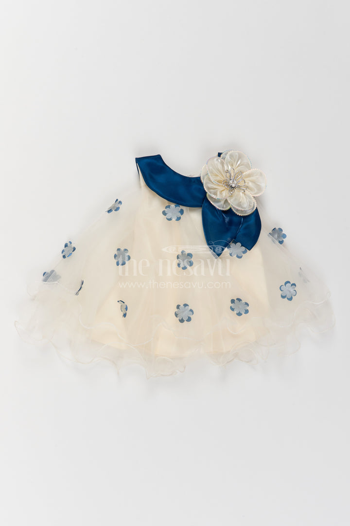 Girls Embroidered Net Frock for Family Portraits and Special Occasions