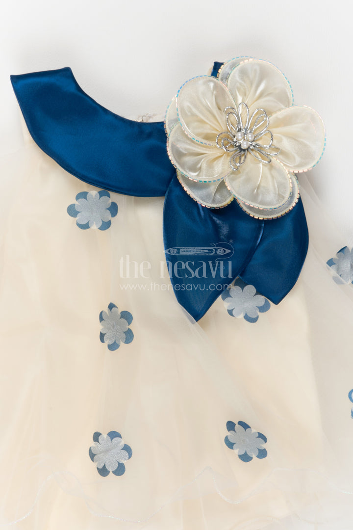 Girls Embroidered Net Frock for Family Portraits and Special Occasions