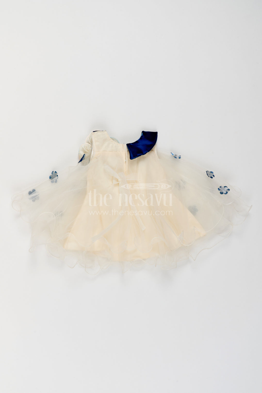 Girls Embroidered Net Frock for Family Portraits and Special Occasions