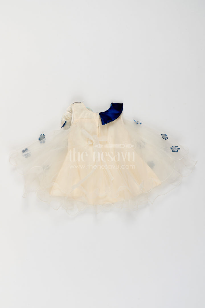Girls Embroidered Net Frock for Family Portraits and Special Occasions
