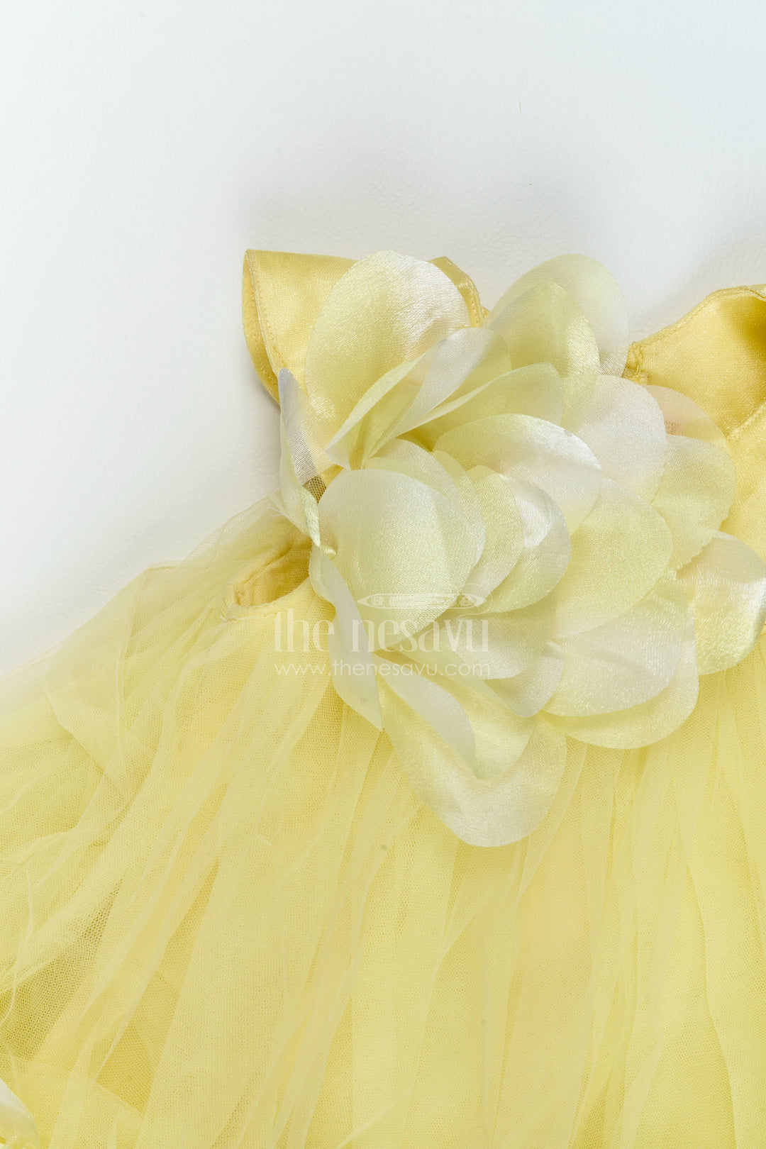Girls Frill Party Frock for Cake Cutting and Birthday Photoshoots