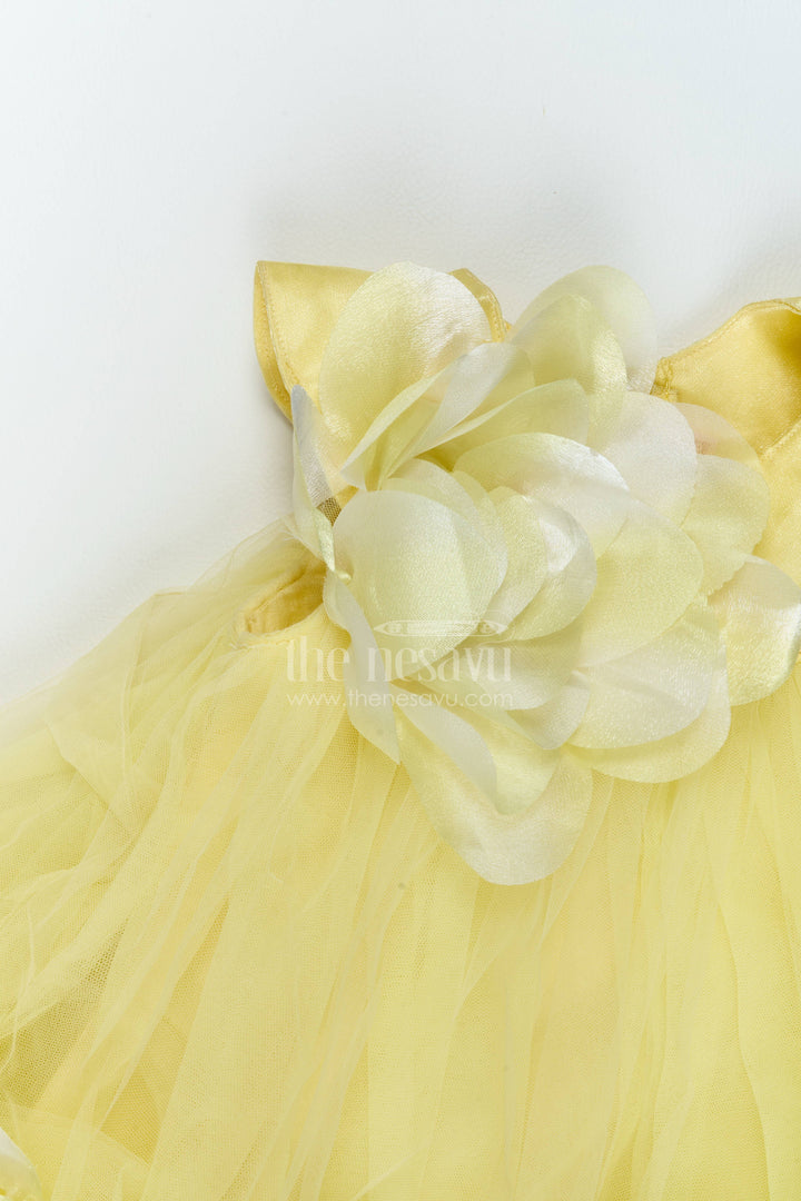 Girls Frill Party Frock for Cake Cutting and Birthday Photoshoots